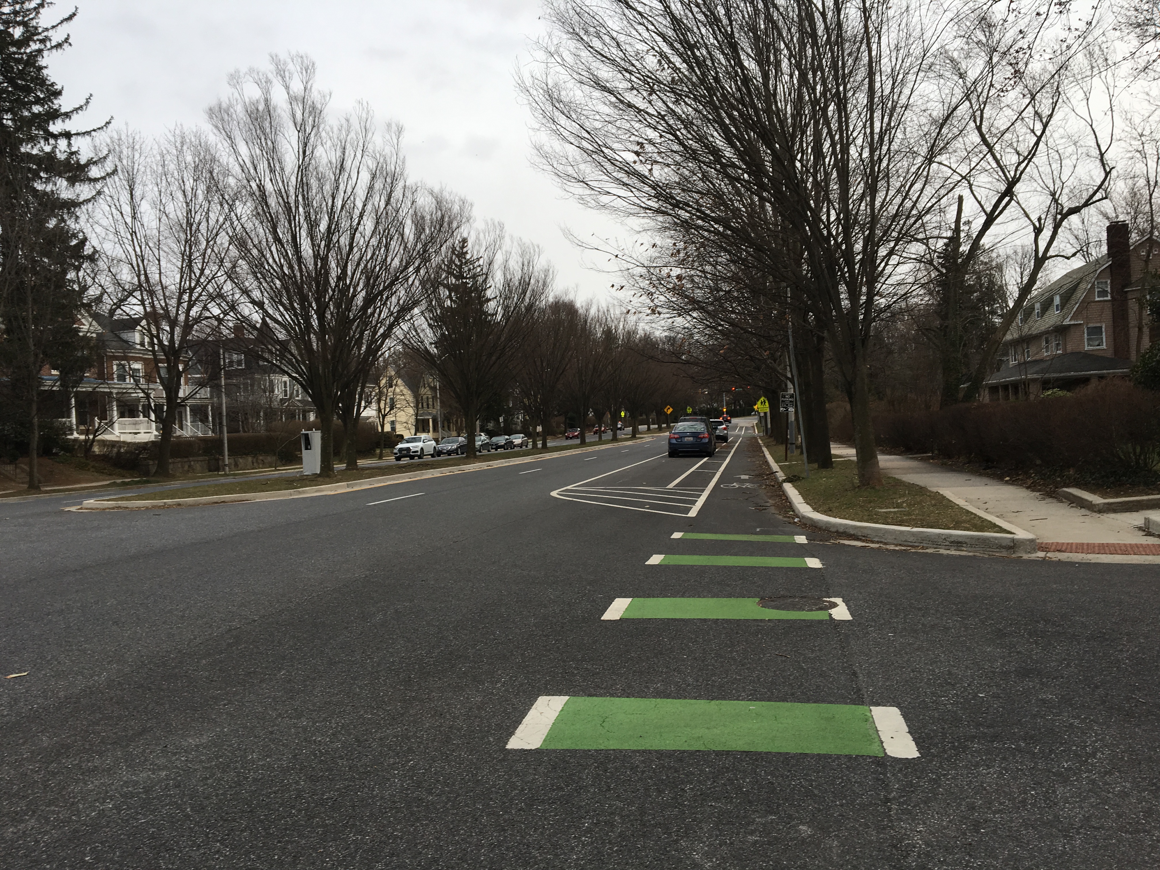 Roland Ave Cycle Track